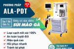 [Tổng hợp] Các phương pháp điều trị sùi mào gà hiện nay